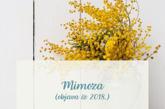mimoza-Kršćanski obiteljski blog Bokun Neba